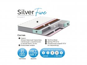 Матрас Silver Five в Станционно-Ояшинском - stancionno-oyashinskij.mebel-nsk.ru | фото