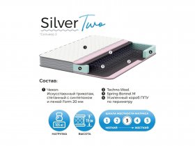 Матрас Silver Two в Станционно-Ояшинском - stancionno-oyashinskij.mebel-nsk.ru | фото